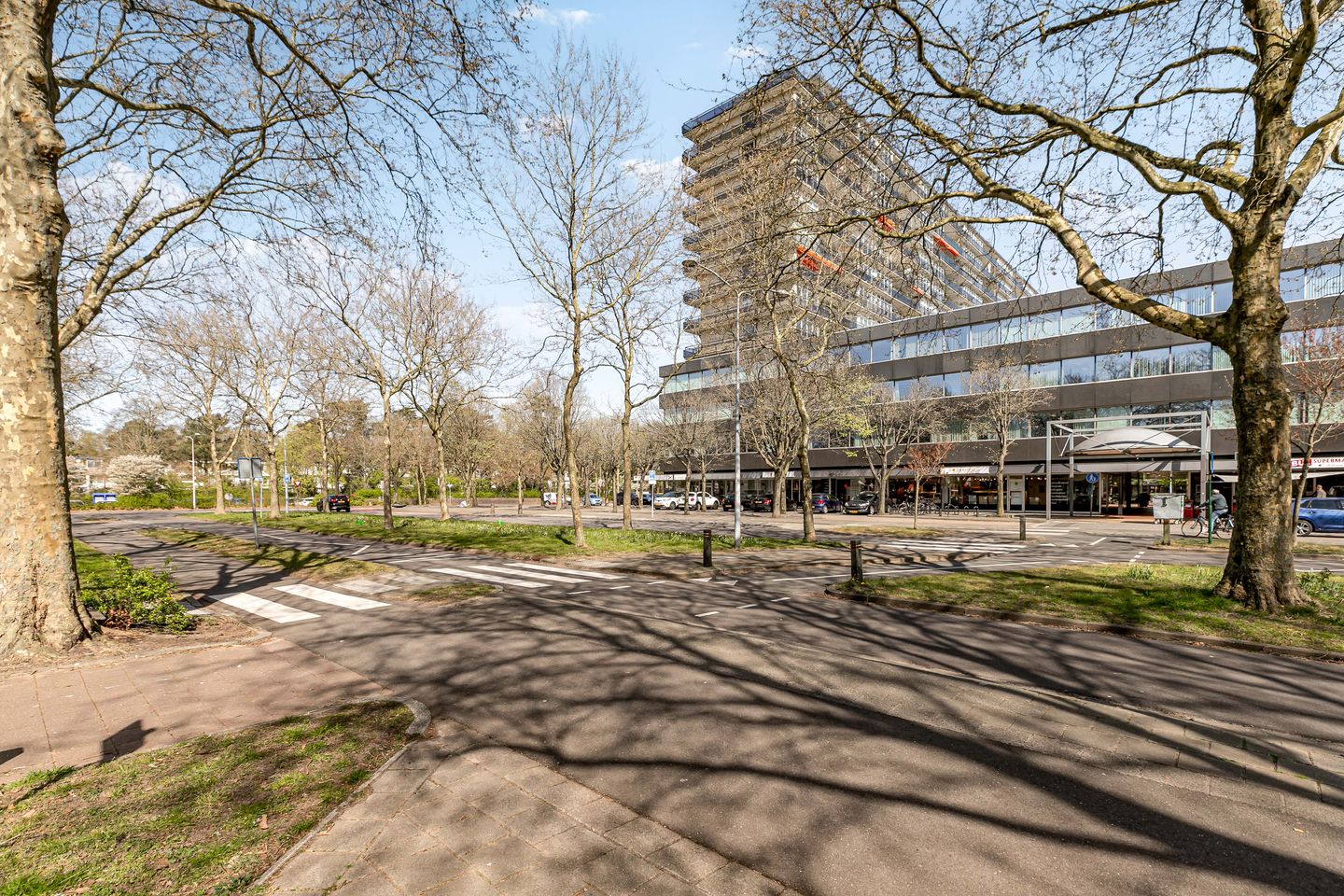 Foto 5 van Laan van Vollenhove 902