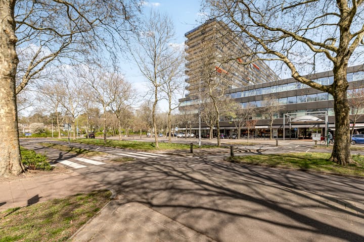 Foto 5 van Laan van Vollenhove 902