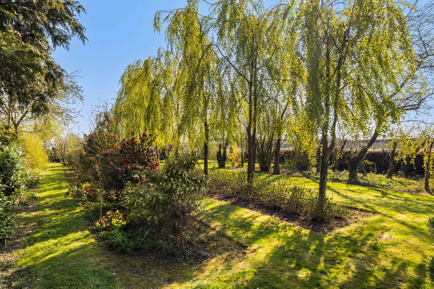 Photo 35 of Molenkampstraat 21