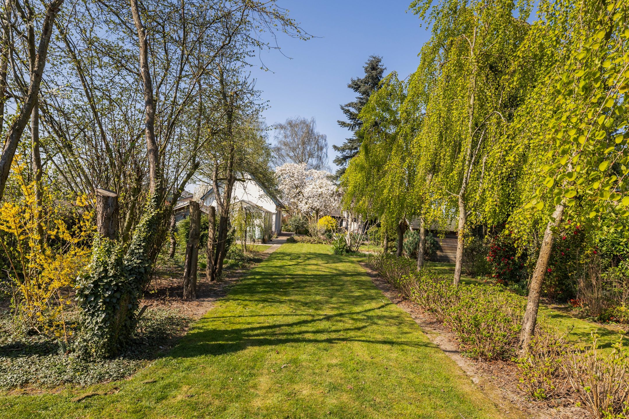 Photo 36 of Molenkampstraat 21