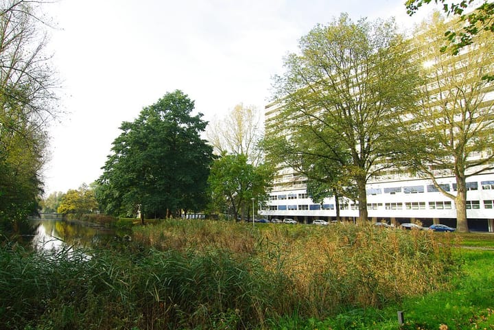 Foto 28 van Weerdestein 201