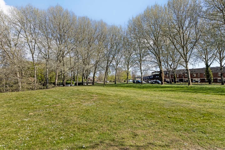 Foto 31 van Middenhof 303