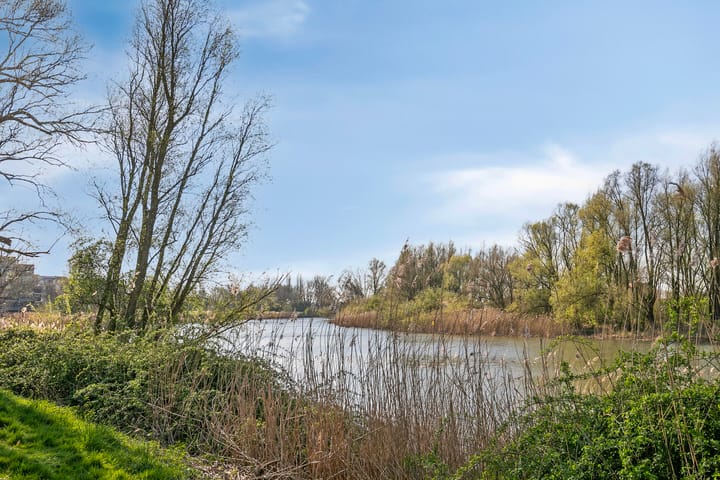 Foto 15 van Generaal S.H. Spoorstraat 435