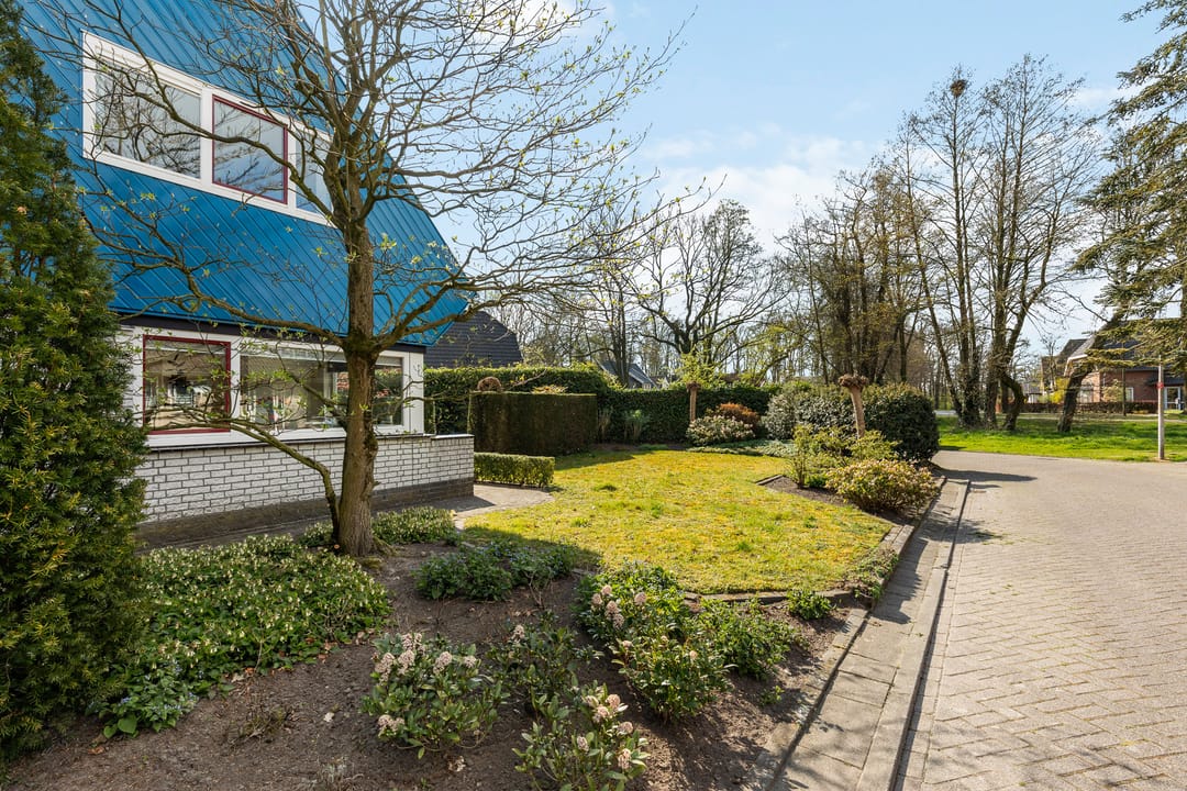 Photo 2 of Ankarastraat 16