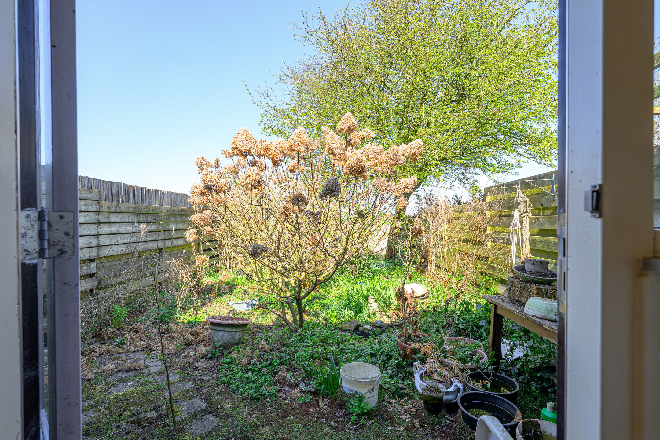 Foto 9 van Sperwerhof 115