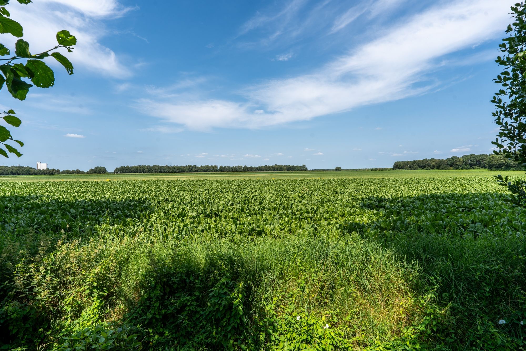 Foto 42 van Schaalbergerweg 26