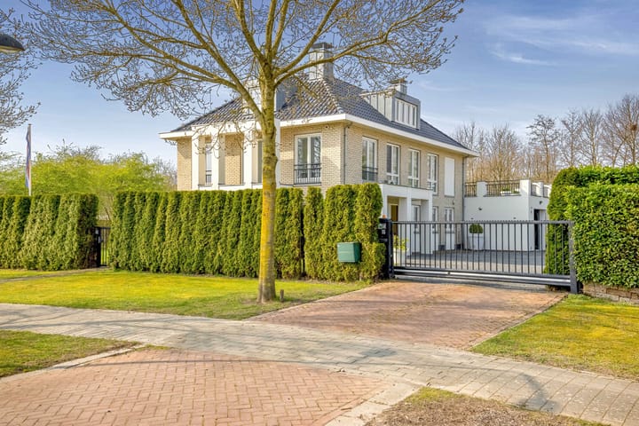 Photo 9 of Stamerbos 16