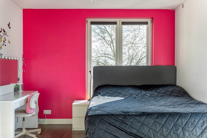 Photo 39 of Stamerbos 16