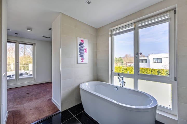 Photo 42 of Stamerbos 16