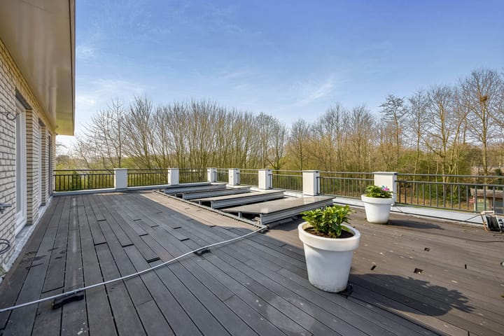 Photo 45 of Stamerbos 16