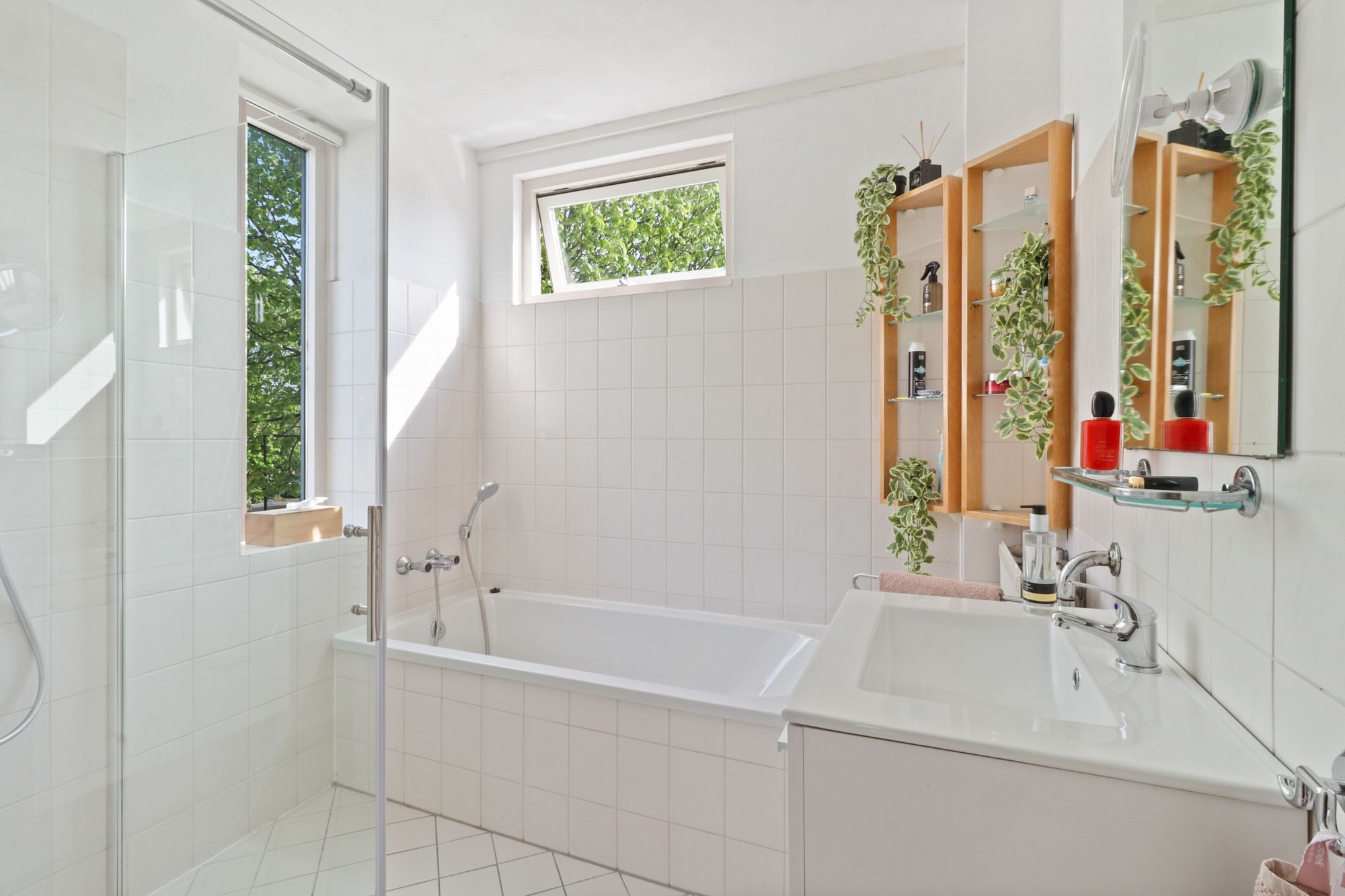 Foto 12 van Akelei 2