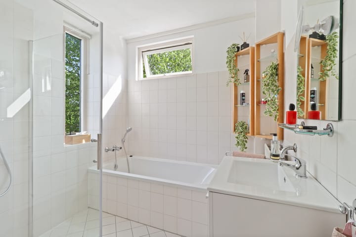 Foto 12 van Akelei 2