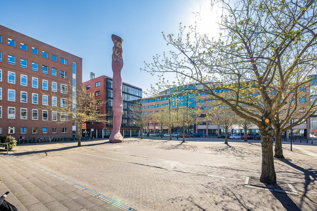 Photo 31 of Sterrenbos 33