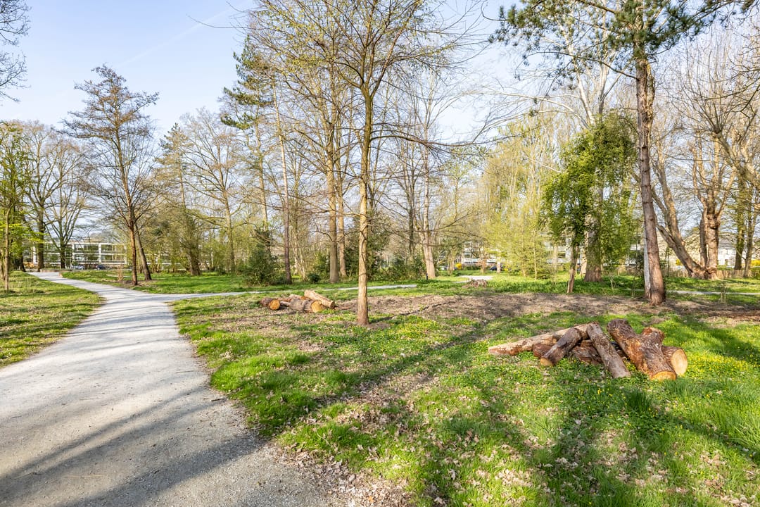 Photo 2 of Vondellaan 10-3