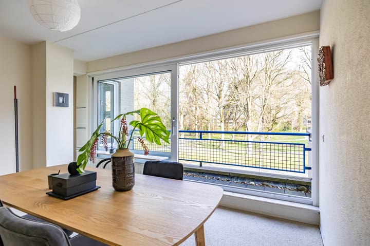 Foto 24 van Vondellaan 10-3