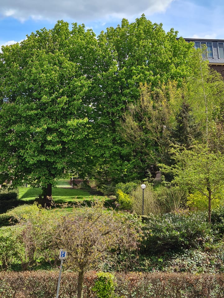 Foto 17 van Museum Kamstraat 11