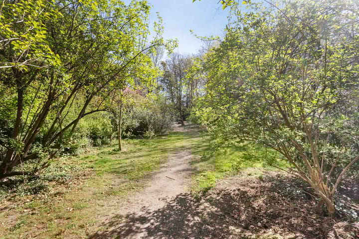 Foto 23 van Museum Kamstraat 11