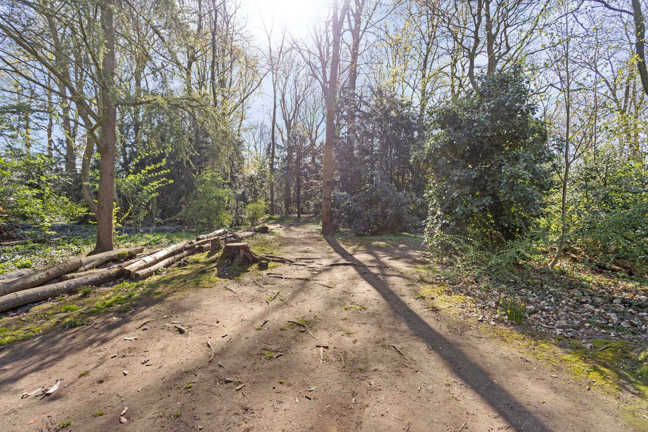 Foto 24 van Museum Kamstraat 11