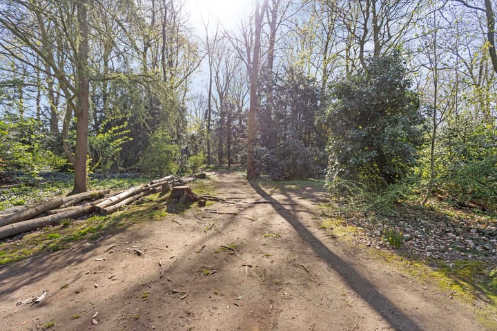 Foto 24 van Museum Kamstraat 11