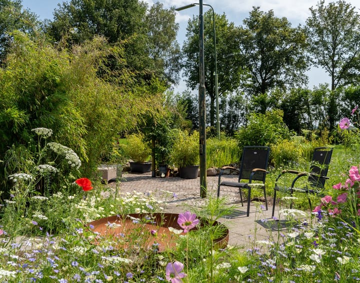 Foto 41 van Schaalbergerweg 26