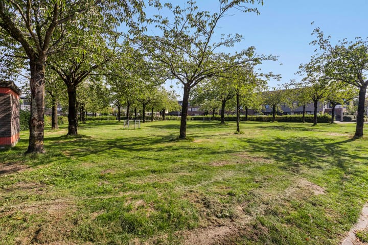 Foto 39 van Midwoldestraat 23