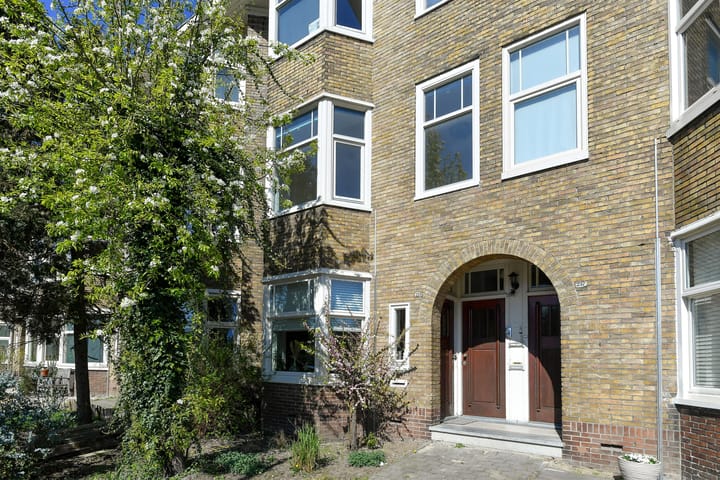 Foto 6 van Johan de Wittlaan 255-1