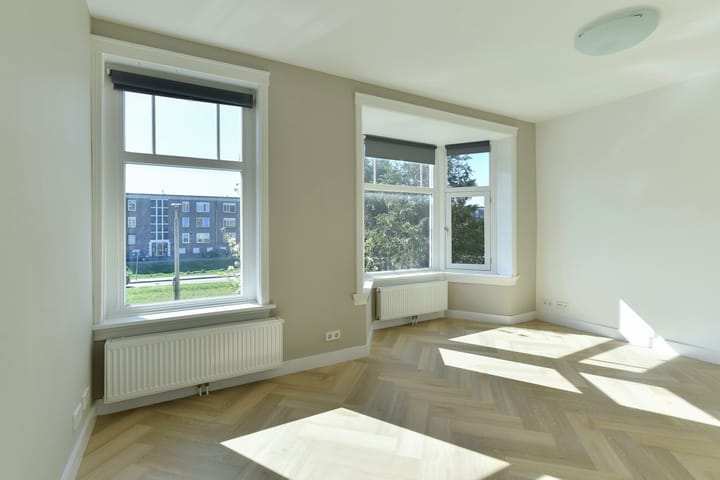 Foto 10 van Johan de Wittlaan 255-1