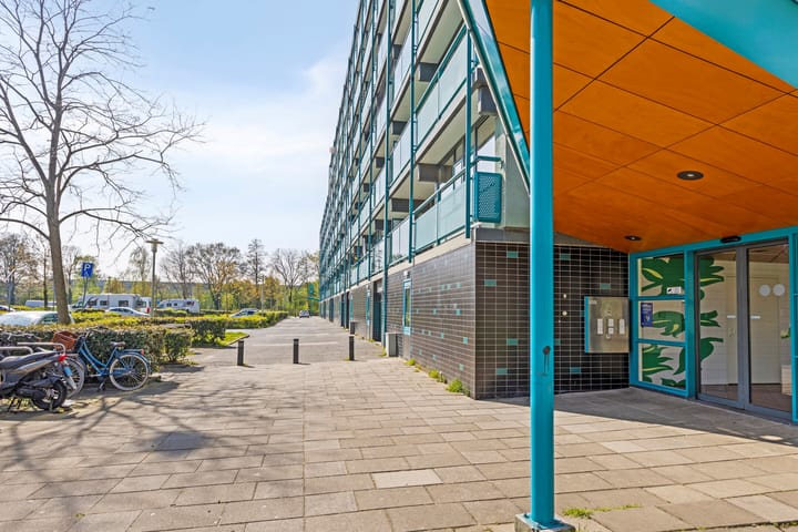 Foto 6 van Iepenschans 55