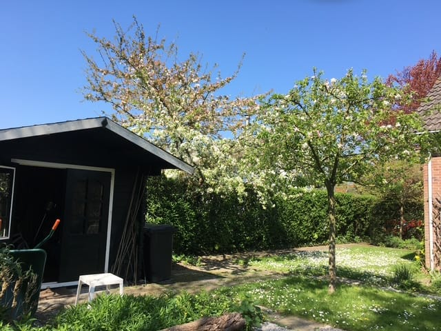 Foto 19 van D. Koddelaan 32