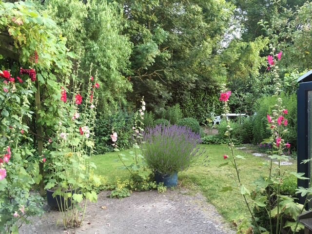 Foto 20 van D. Koddelaan 32