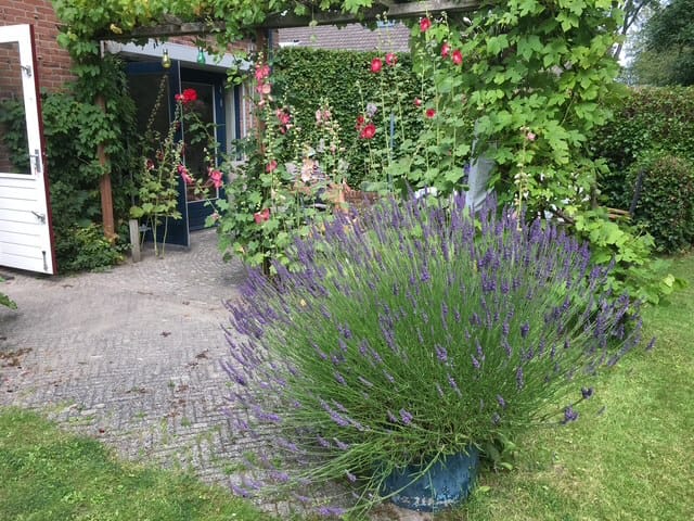 Foto 21 van D. Koddelaan 32