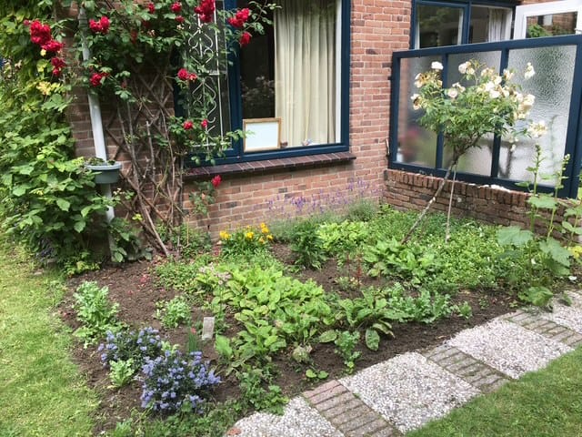 Foto 23 van D. Koddelaan 32