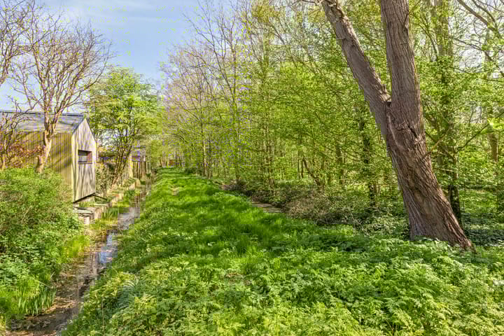 Foto 43 van D. Koddelaan 32