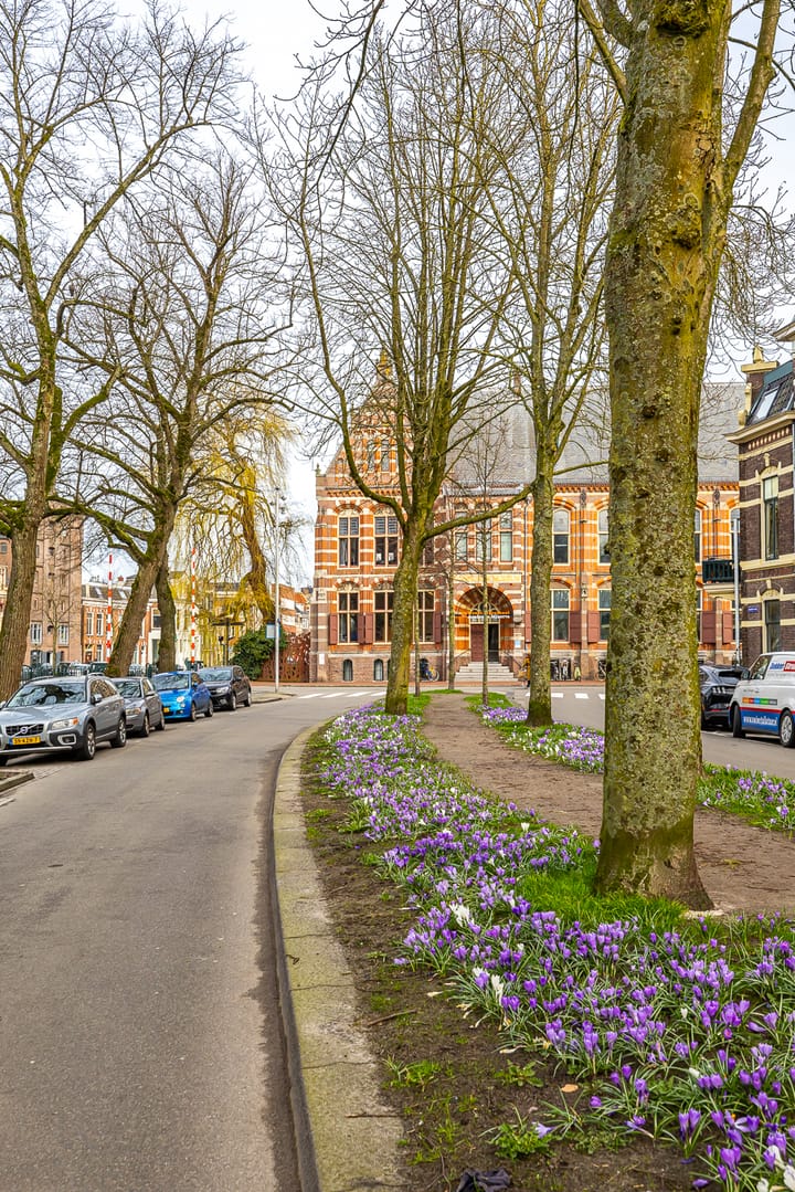 Foto 64 van Praediniussingel 20-24