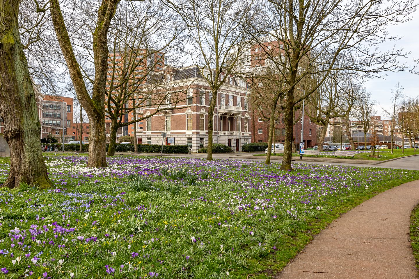 Photo 65 of Praediniussingel 20-24