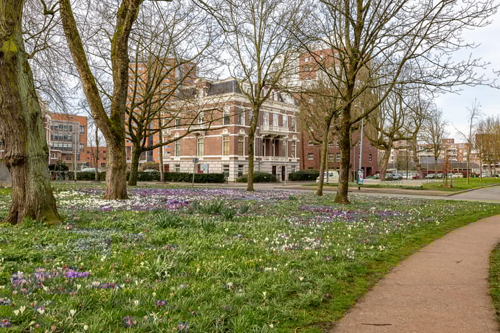 Foto 65 van Praediniussingel 20-24