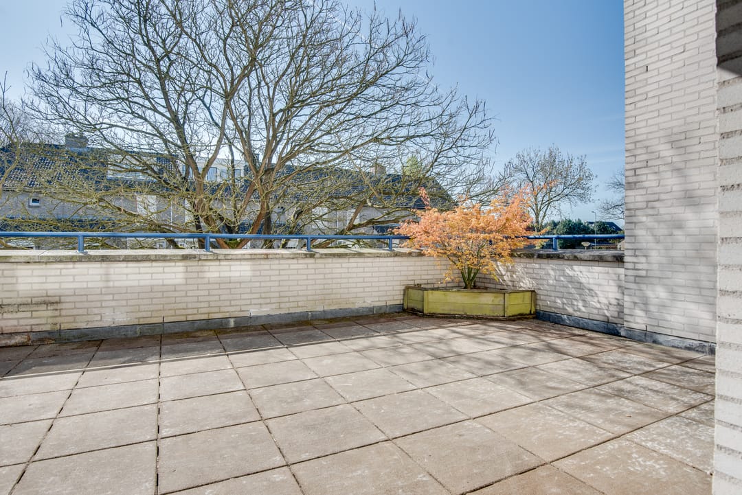 Foto 8 van Terpeborch 12-A