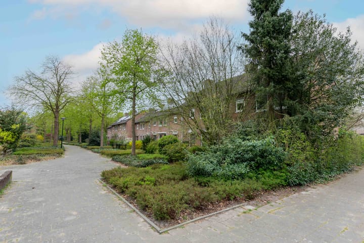 Foto 27 van Pallaspad 31