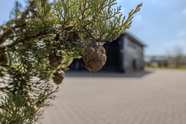 Foto 55 van Langstraat 26-A