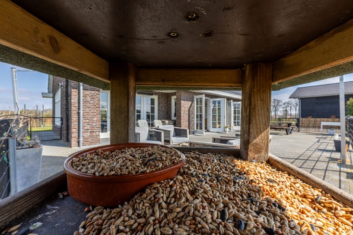 Foto 58 van Langstraat 26-A