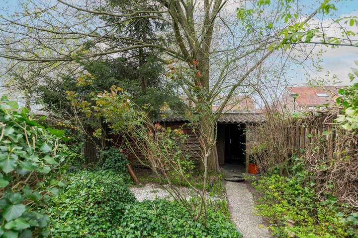 Foto 32 van Pallaspad 31