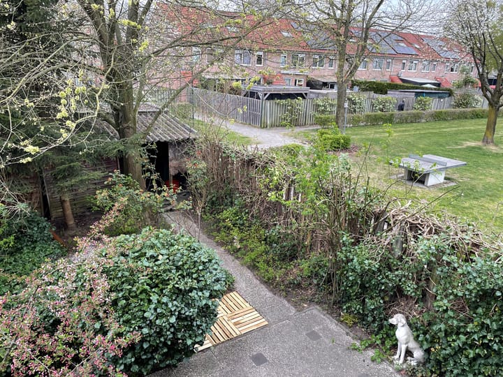 Foto 34 van Pallaspad 31