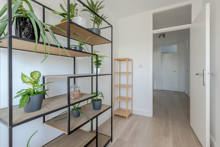 Foto 21 van Plutostraat 352