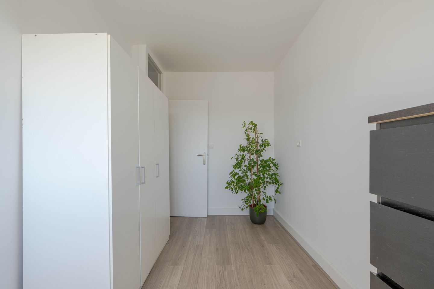 Photo 25 of Plutostraat 352