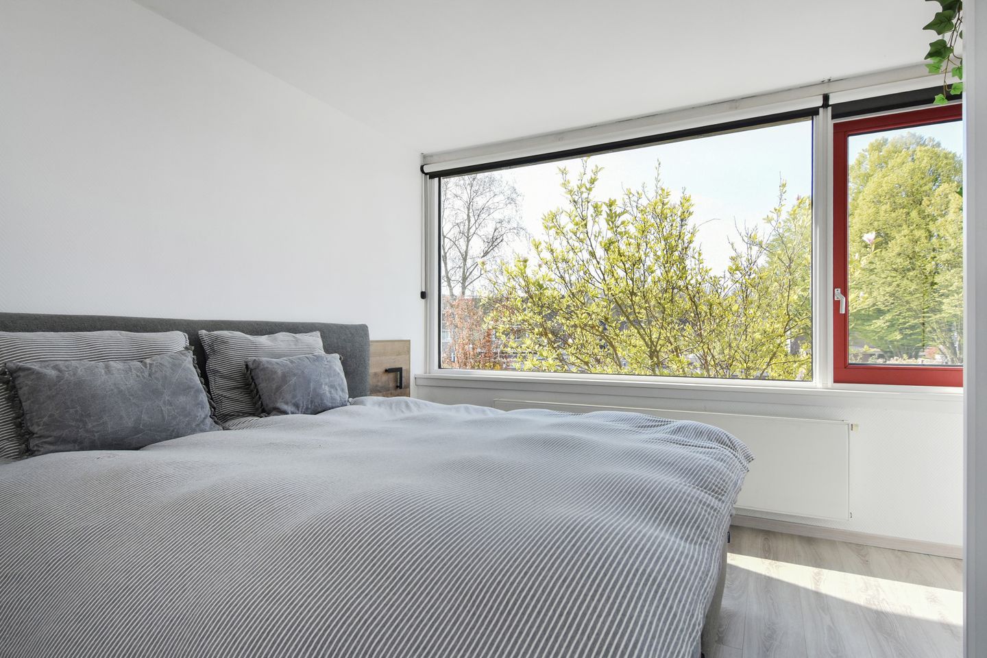 Photo 19 of Opsterland 21