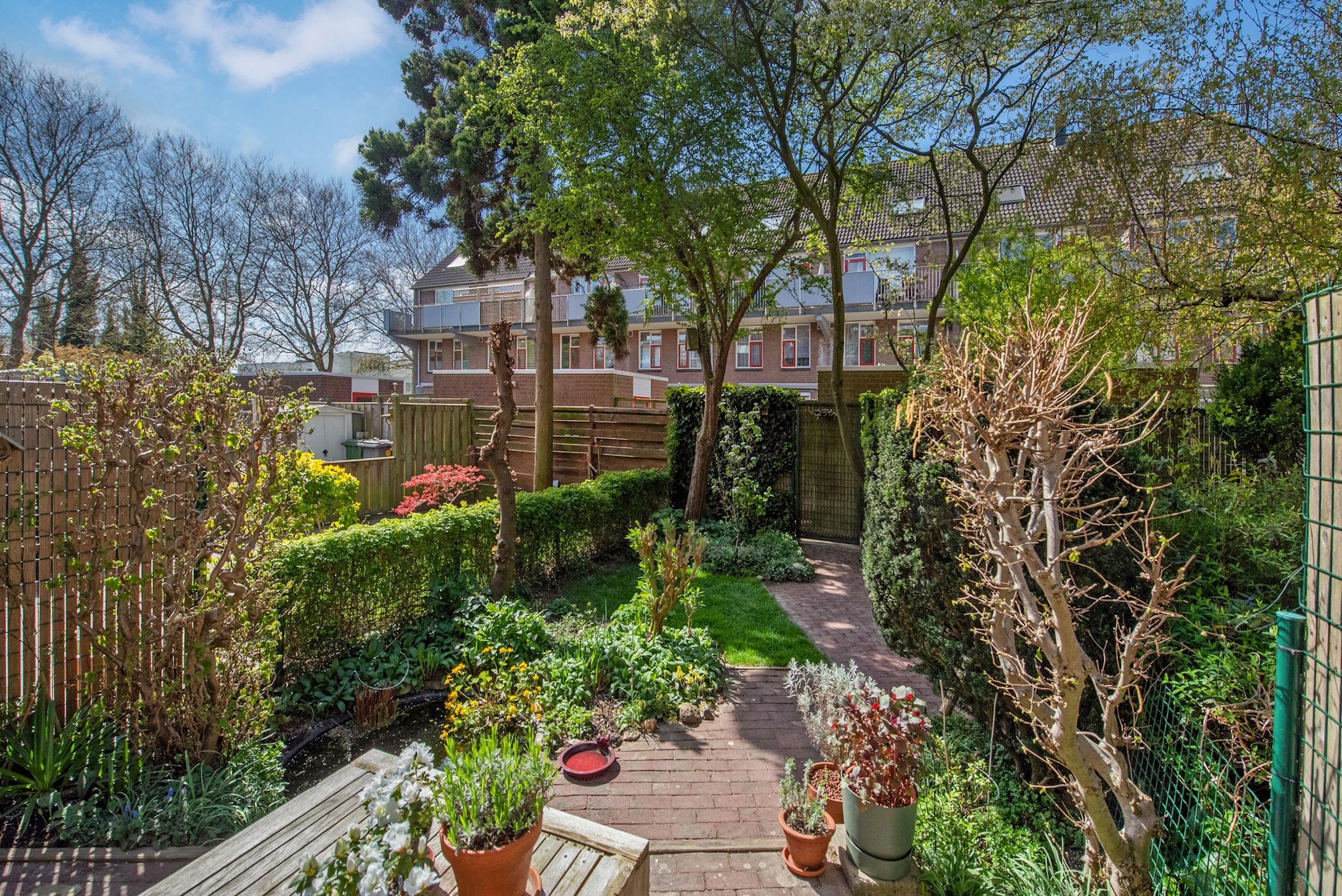 Foto 3 van Togostraat 33