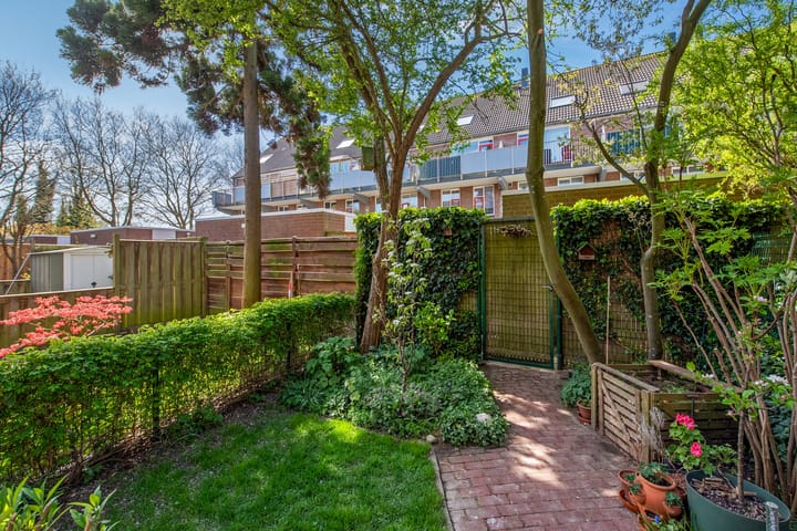 Foto 19 van Togostraat 33