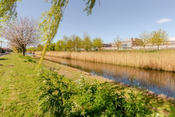 Foto 39 van Schildgronden 47