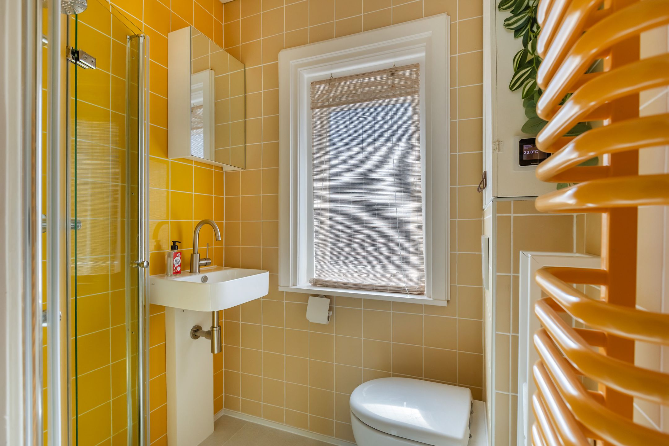 Foto 36 van Hermannus Elconiusstraat 23