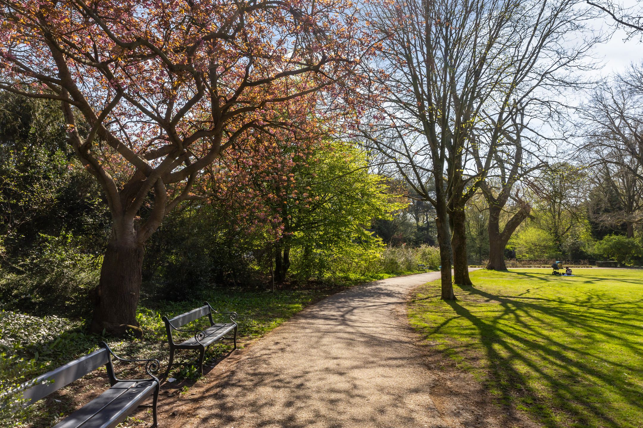 Foto 42 van Hermannus Elconiusstraat 23